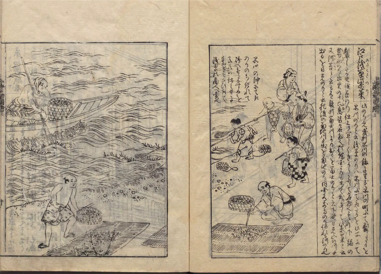 浅草海苔の図