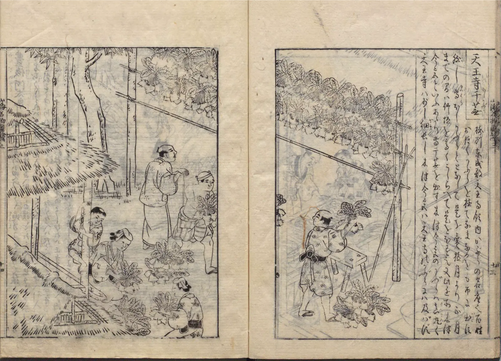 天王寺千苣の図