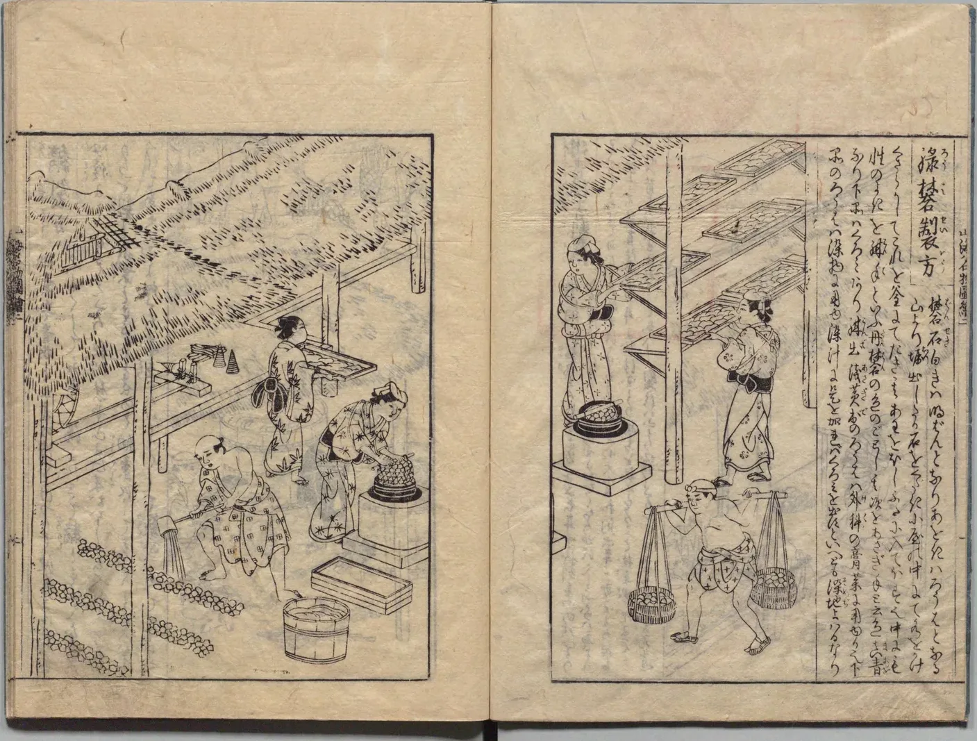 緑青の種類と用途