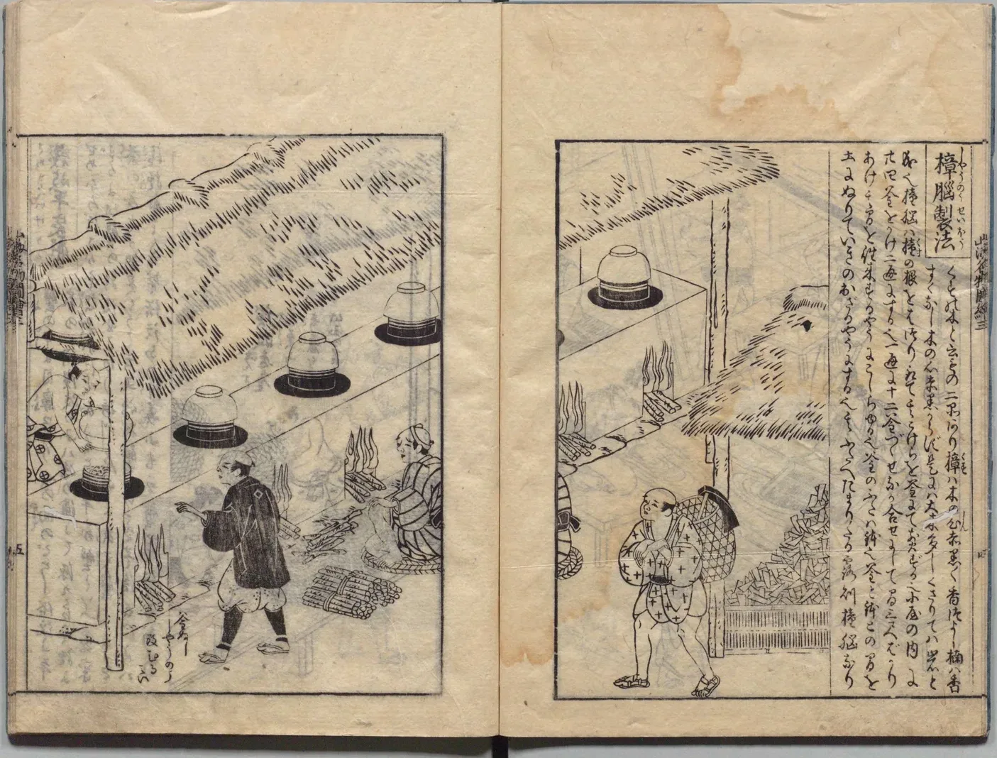 越前奉書紙と樟脳製法の図