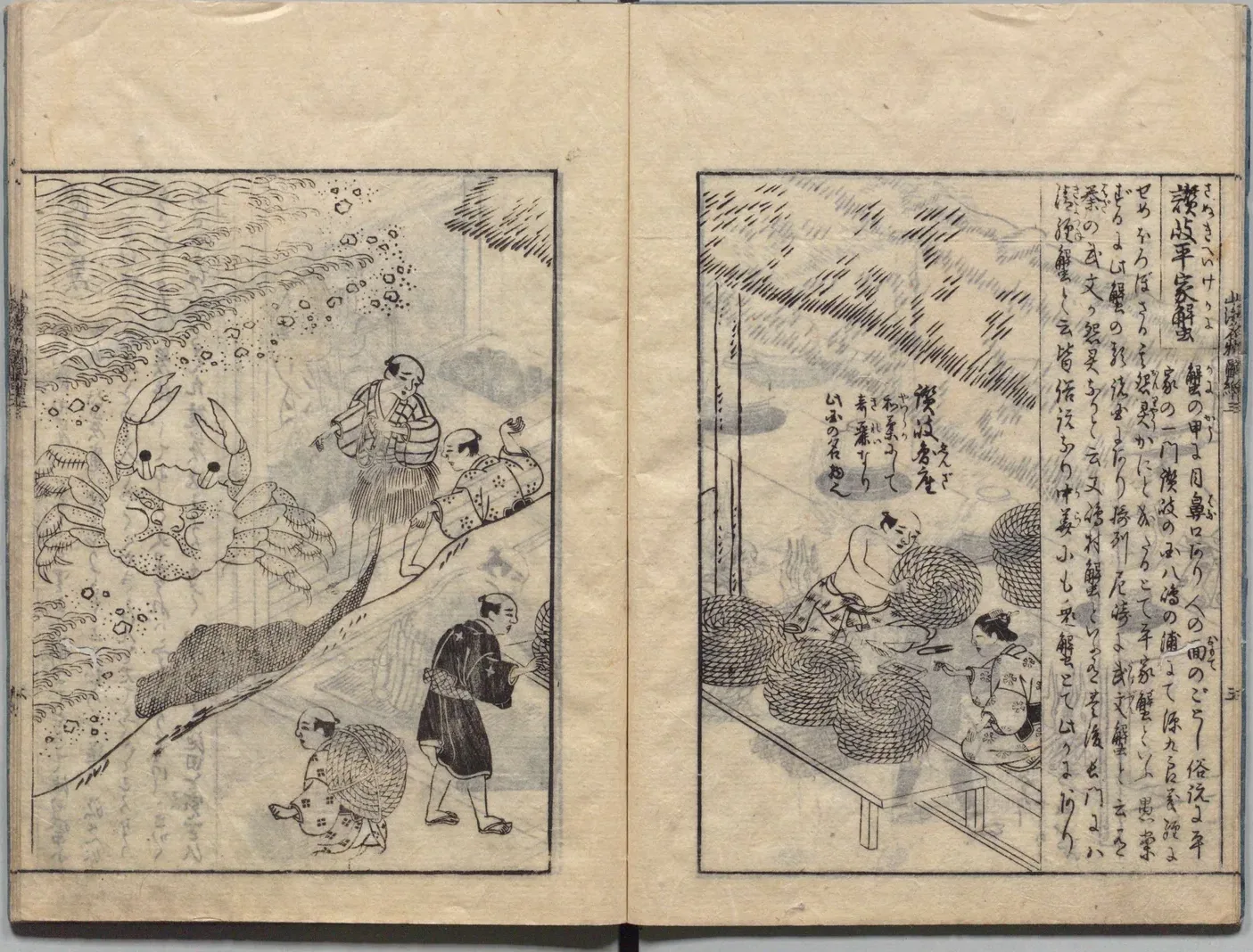 讃岐平家蟹の図