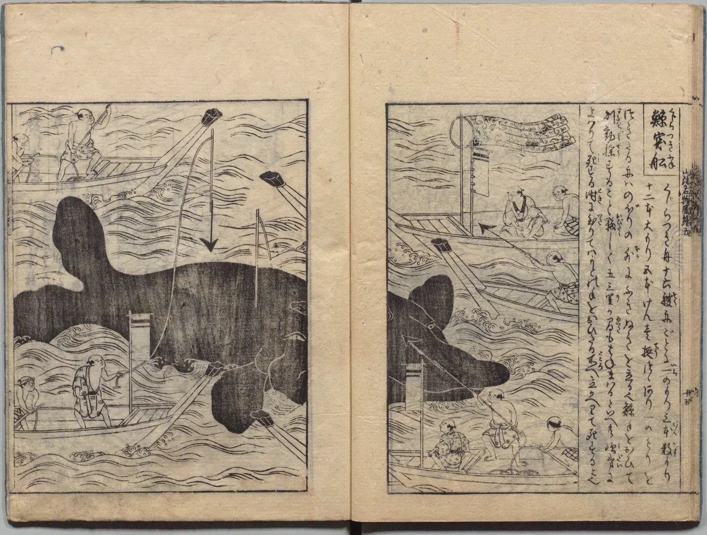 鯨突舟の図