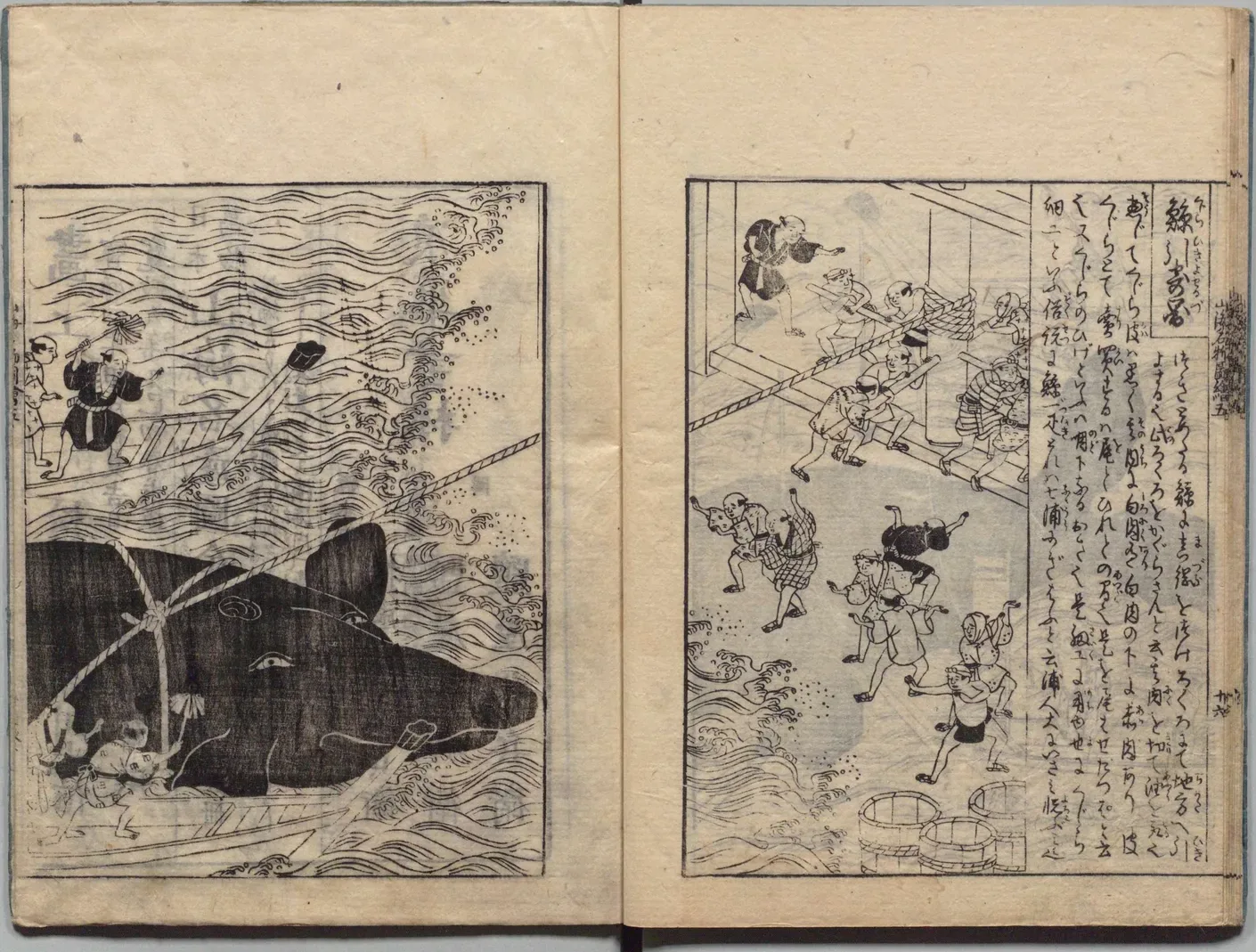 鯨引き寄せ・解体の図