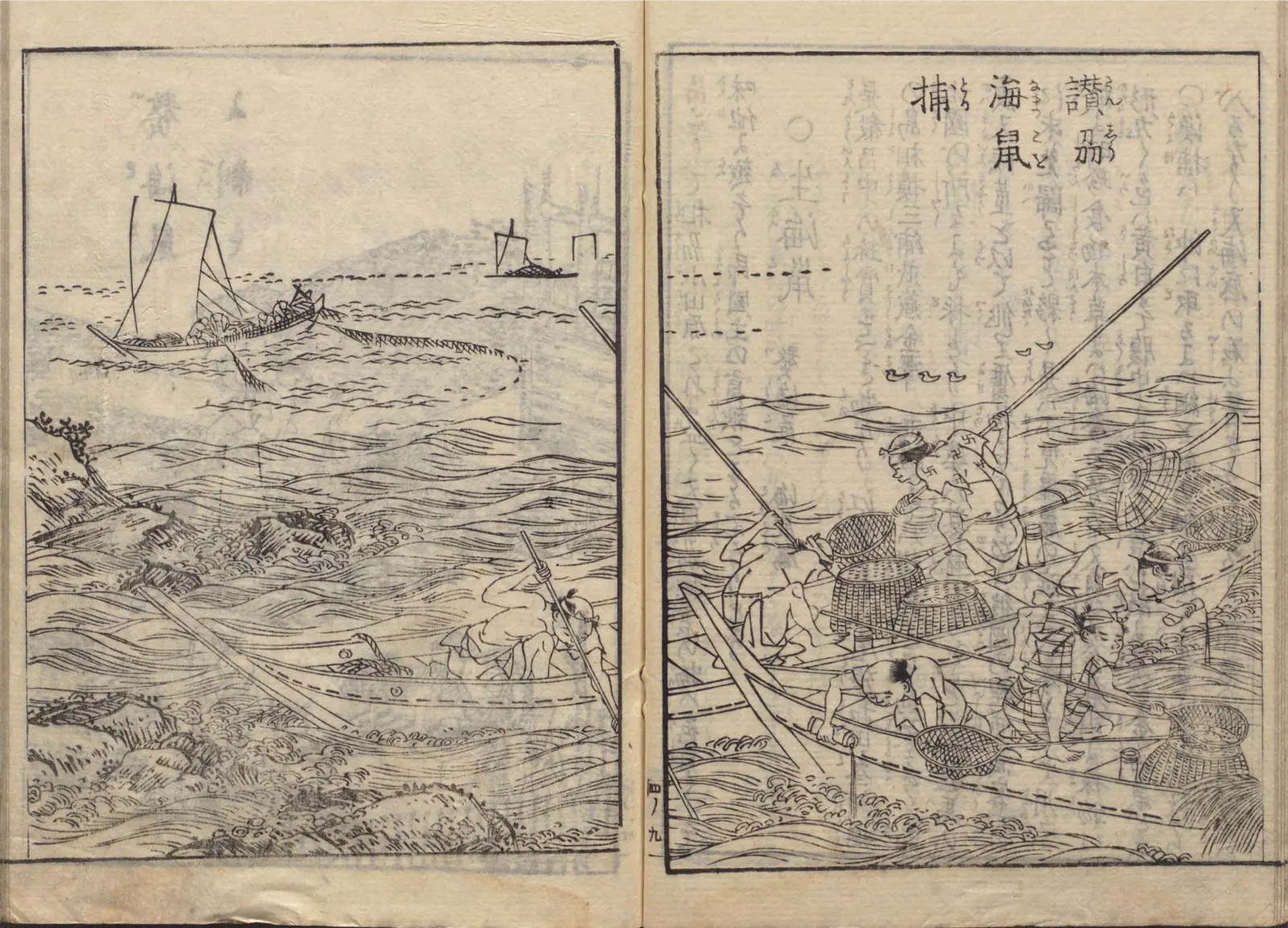 海鼠漁と沖取りの図
