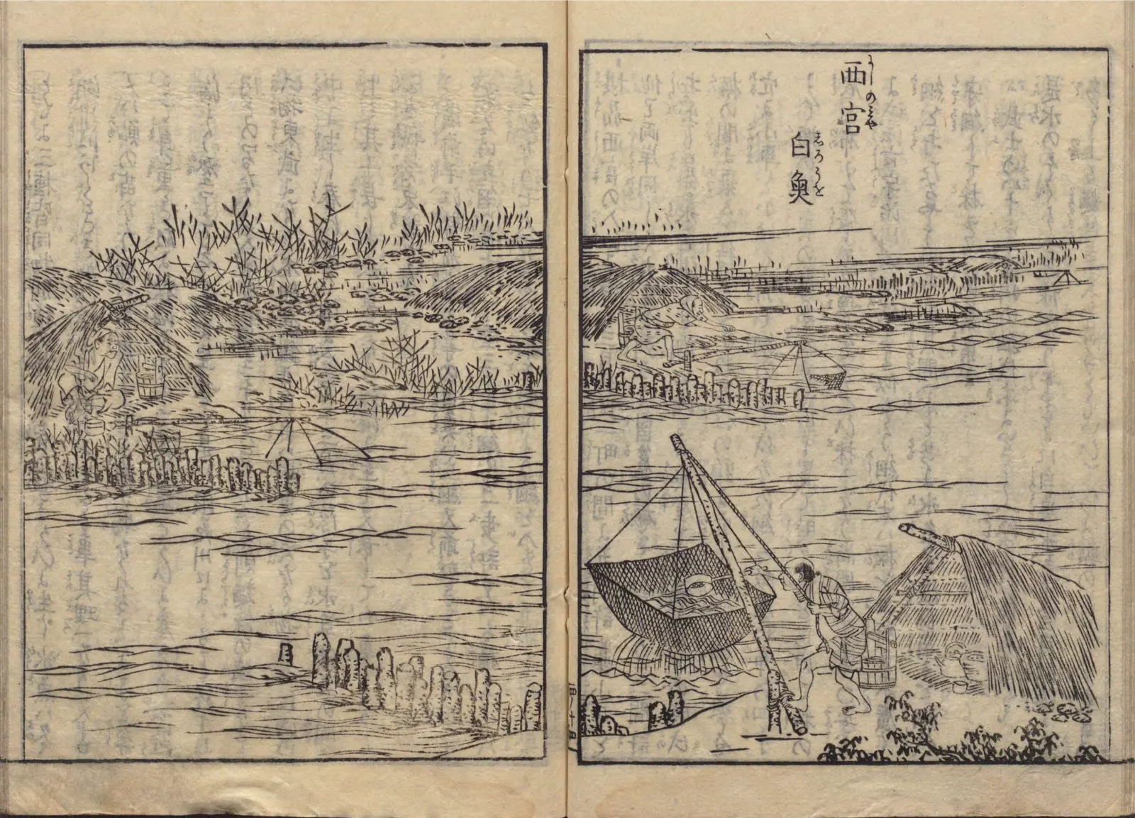 西宮白魚漁の図