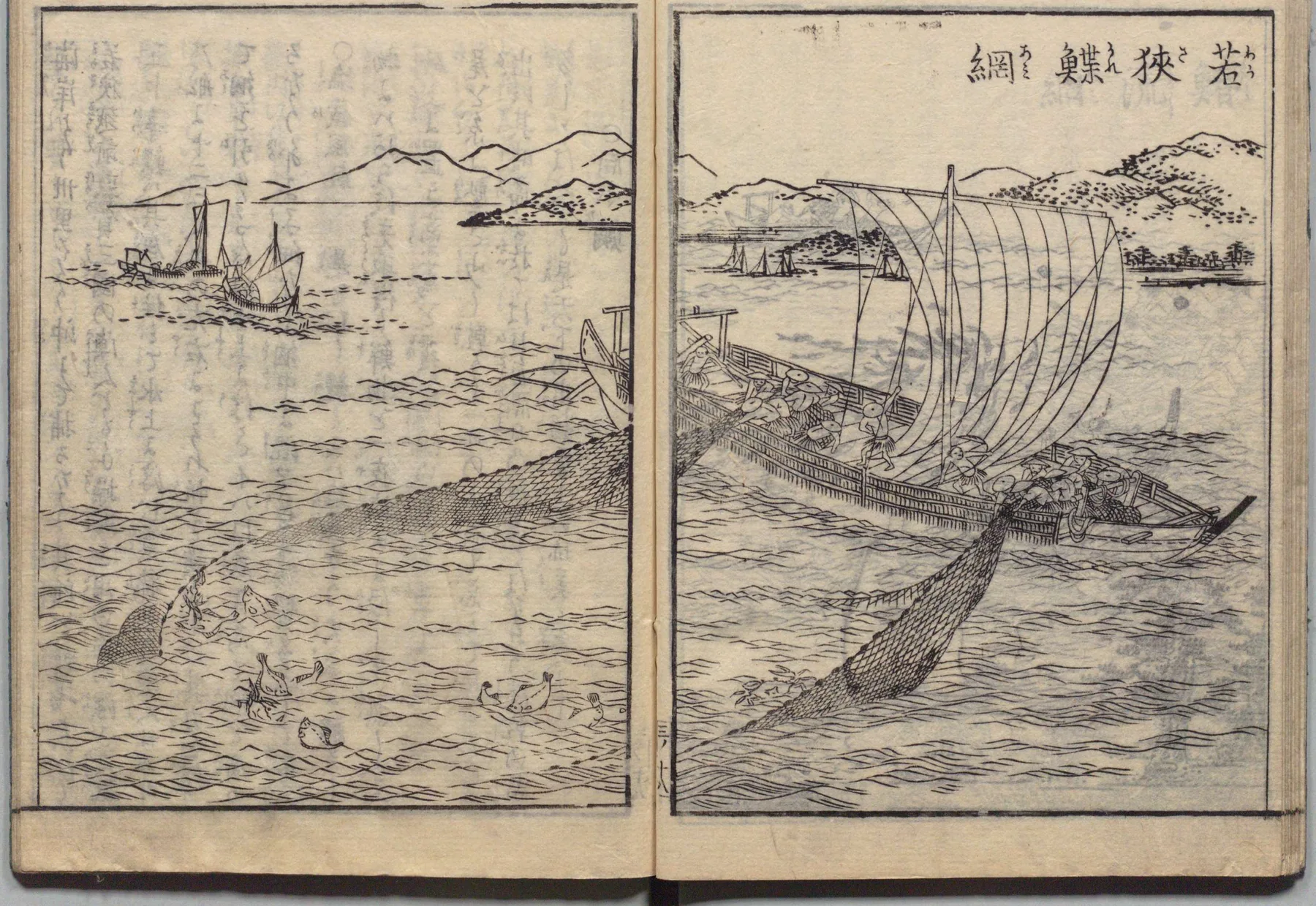 若狭の鯛・鰈漁