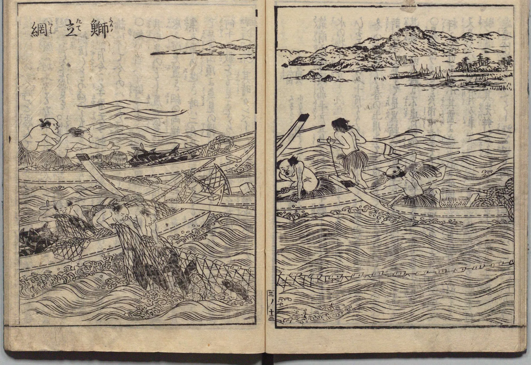 鰤の立網漁の図