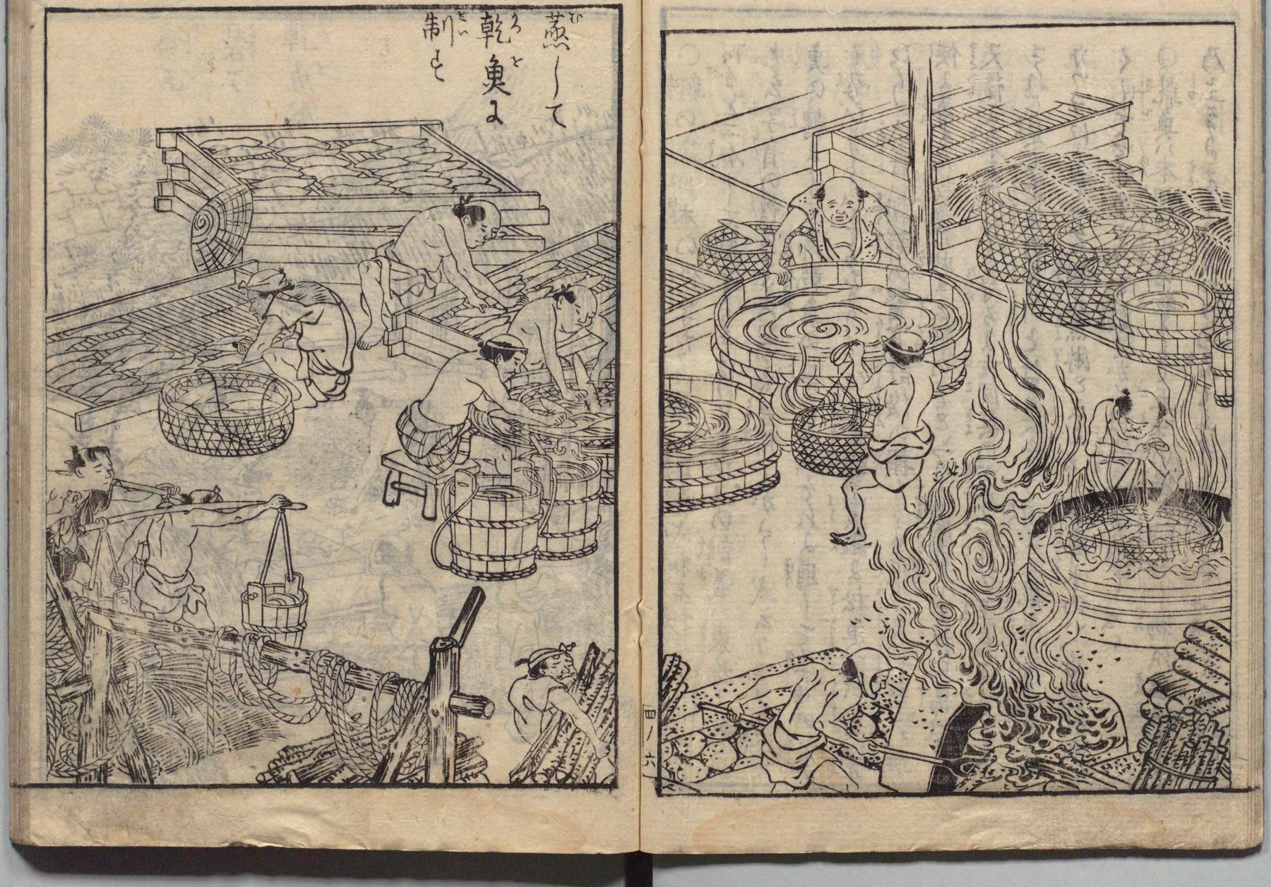 鰹節の蒸し・乾燥加工の図