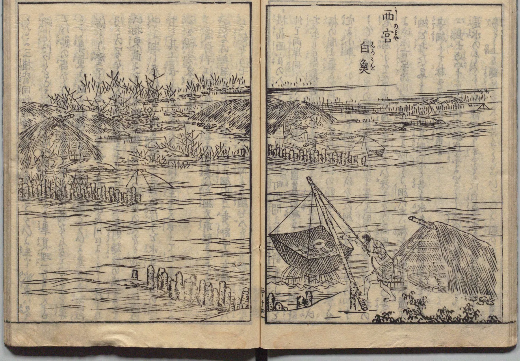 西宮白魚漁の図