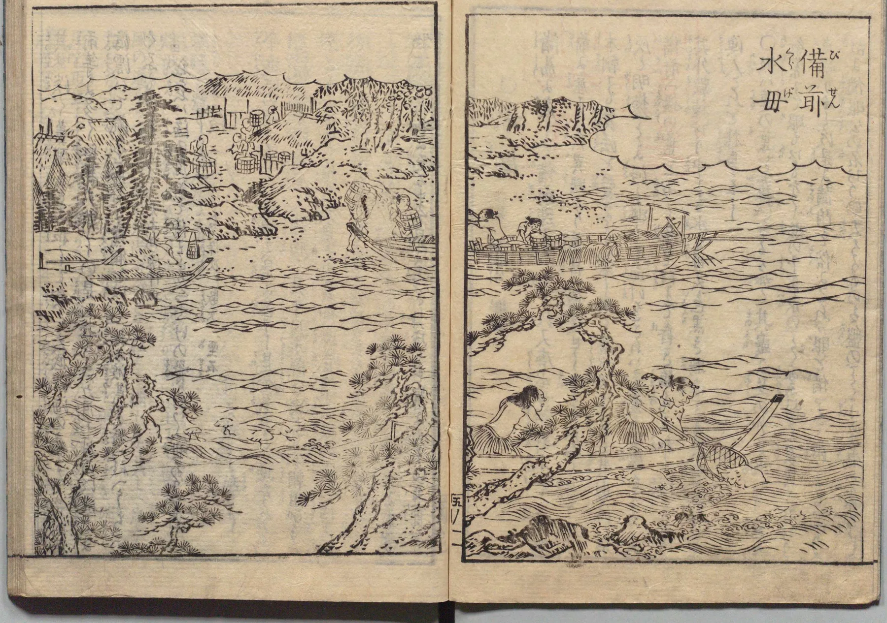 備前水母（くらげ）の図